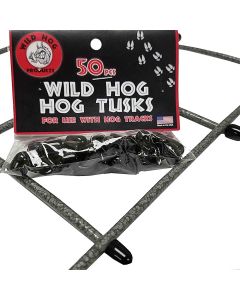 Wild Hog Tusks - Pack of 50